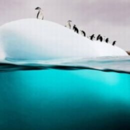 Profile picture of aymen trabelsi