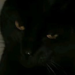 Profile picture of Maram Maram