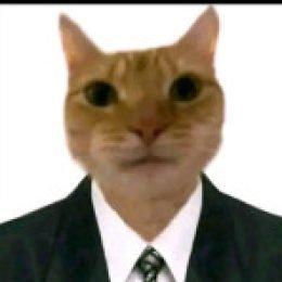 Profile picture of Omar