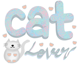 Profile picture of Tarek Belhajria