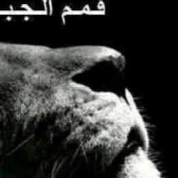 Profile picture of الفالح الصويفي