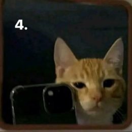 Profile picture of Bora bik