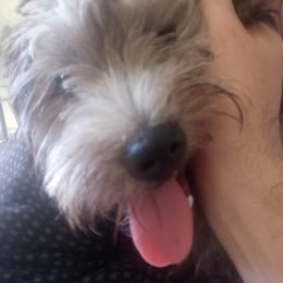 Profile picture of Hassib