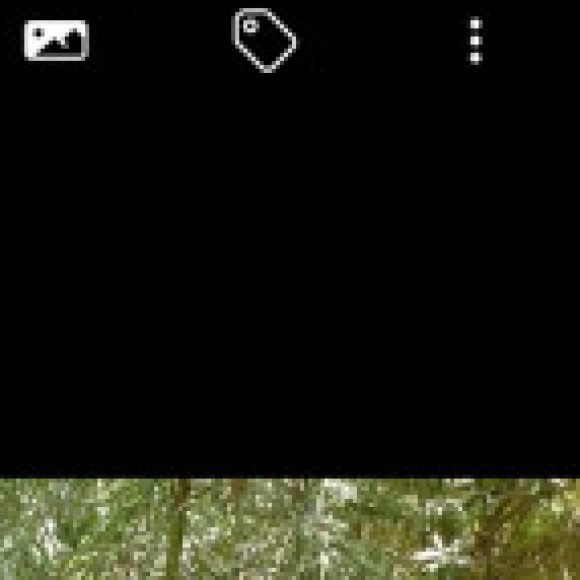 Profile picture of AhmedGuenenna