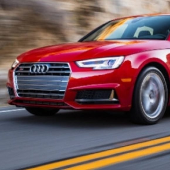 Profile picture of Ahmed