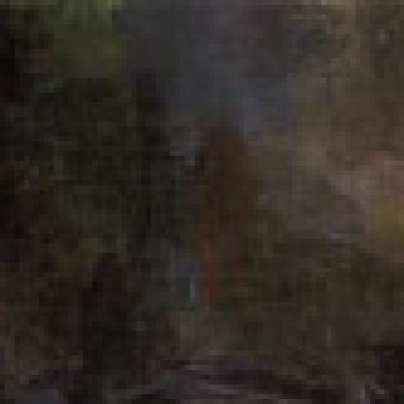 Profile picture of Amen Drihmi