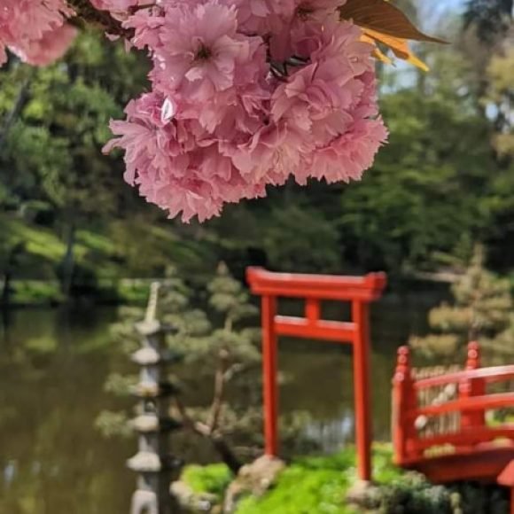 Profile picture of siwar zall