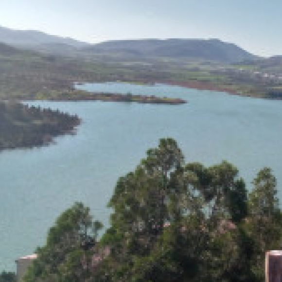 Profile picture of Rihab Hmani