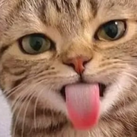 Profile picture of ادم