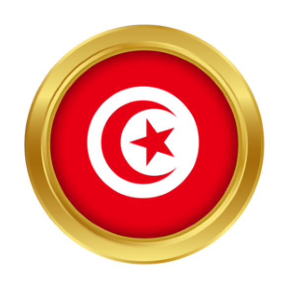 Profile picture of ayari karim