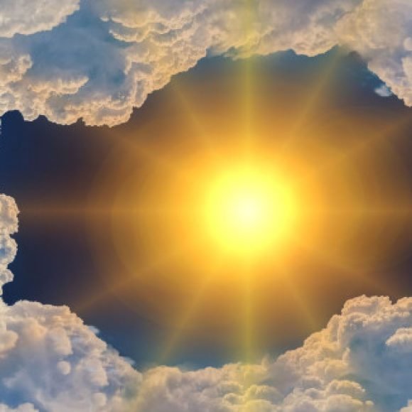 Profile picture of imen chaari