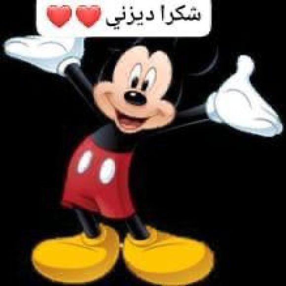 Profile picture of صفوان السعيداني