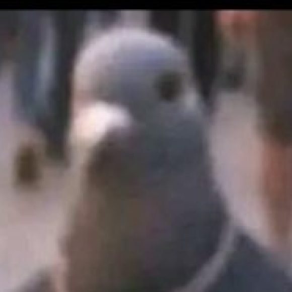 Profile picture of Rap tunisie