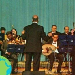 Profile picture of Sofien Bouhamed